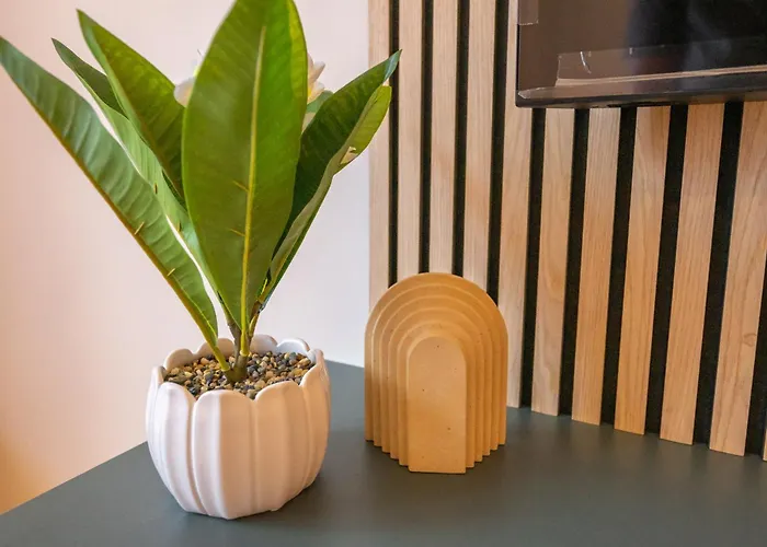 D6 Apartament